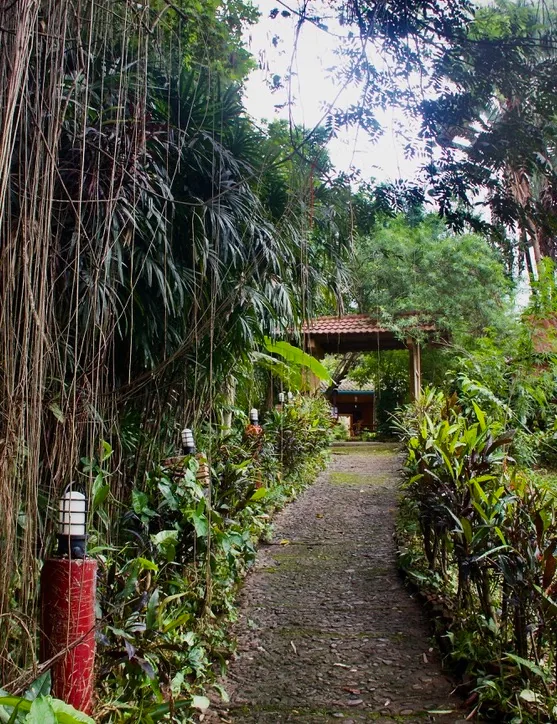 Stone path through the tropical garden at Aerie Lodge
