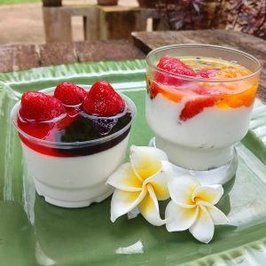 Home Made Yogurt