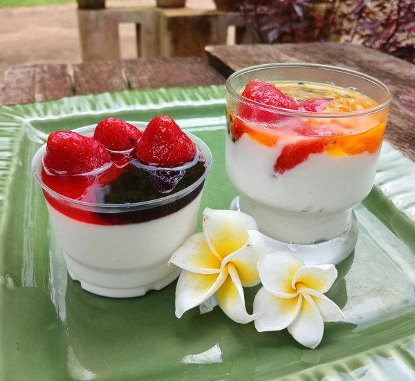 Home Made Yogurt
